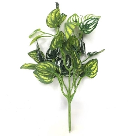 Green Peperomia Foliage 36cm