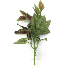 Green Kong Rose Foliage 35cm