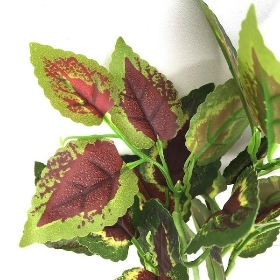 48 x Assorted Foliage Bush