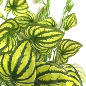 Green Maranta Leaf Foliage 43cm