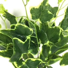 Green Ivy Foliage 43cm