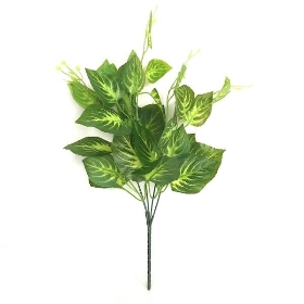 Green Dumb Cane Foliage 43cm