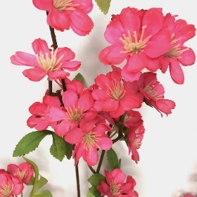Cerise Cherry Blossom 96cm