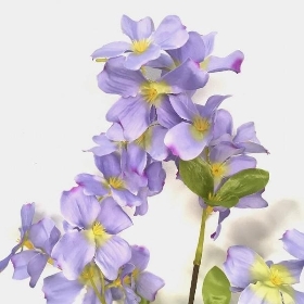 Lilac Dogberry 90cm