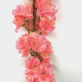 Pink Delphinium 80cm