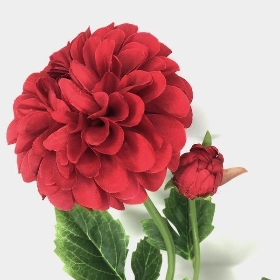 Burgundy Dahlia 59cm
