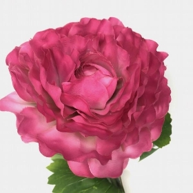 Cerise Ranunculus 55cm