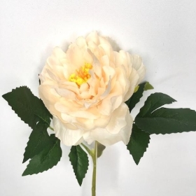 Ivory Open Peony Stem 50cm