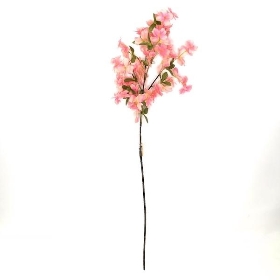 Green-Pink Dogberry 90cm