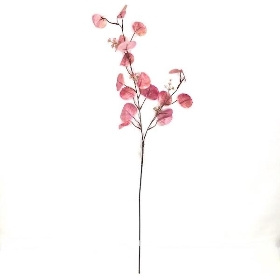 Pink Eucalyptus Stem 100cm