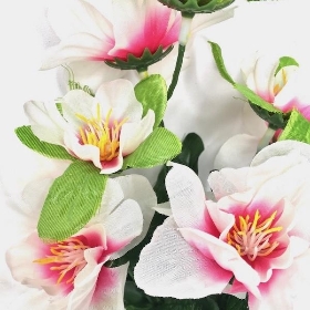 White Azalea Bush 36cm