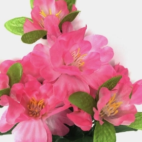 Pink Azalea Bush 36cm
