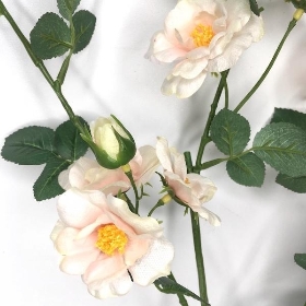Light Pink Tea Rose Spray 84cm