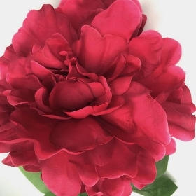 Fuchsia Peony 75cm
