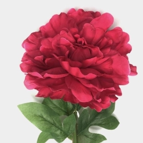 Fuchsia Peony 75cm