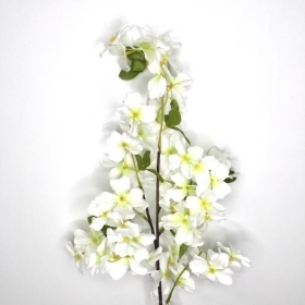 White Green Dogberry 90cm