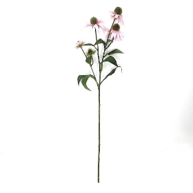 Light Pink Rudbeckia 73cm