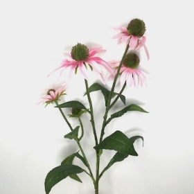 Light Pink Rudbeckia 73cm