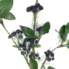 Navy Blue Lingonberry 62cm