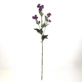 Purple Astrantia 69cm