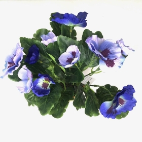 Blue Pansy in Ceramic Pot 25cm