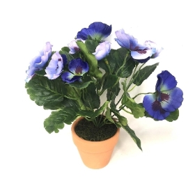 Blue Pansy in Ceramic Pot 25cm