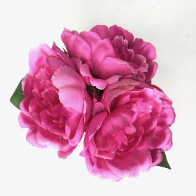 Pink Peony in Vase 20cm