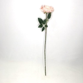 Champagne Marie Rose 73cm