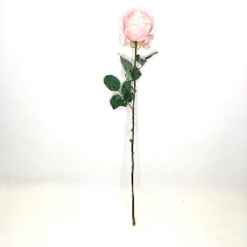 Pale Pink Harper Rose 63cm
