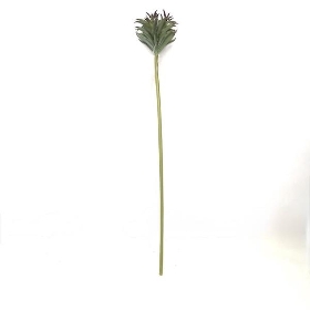 Green Mermaid Tail Succulent Stem 58cm