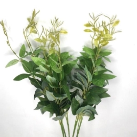 Light Green Ruscus Bush 50cm