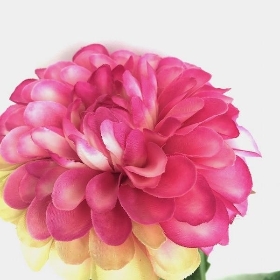 Light Pink Dahlia 59cm