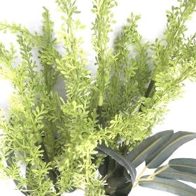 Green Lavender 65cm