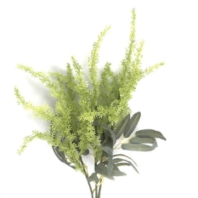 Green Lavender 65cm