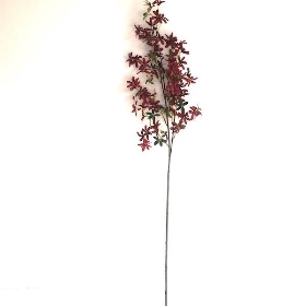 Red Lilac 100cm