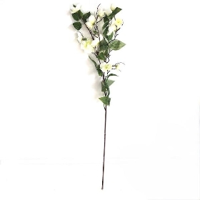 Ivory Birdwood 72cm