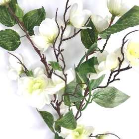Ivory Birdwood 72cm