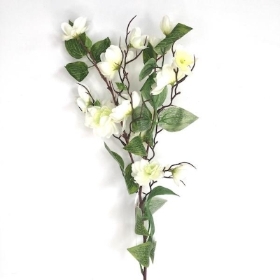 Ivory Birdwood 72cm
