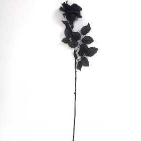 Black Rose 72cm