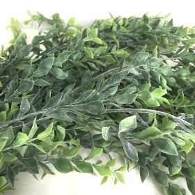 Trailing Parvi Eucalyptus 100cm