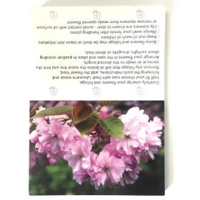 Pink Flowers Folding Card x 25