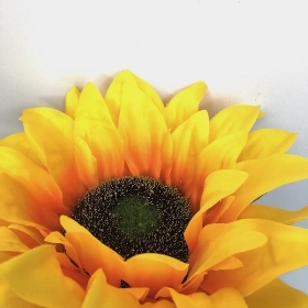 Yellow Sunflower 65cm