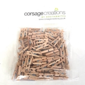 Wooden Pegs 2.5cm x 100