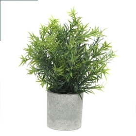 Stone Effect Pot With Plant 26cm
