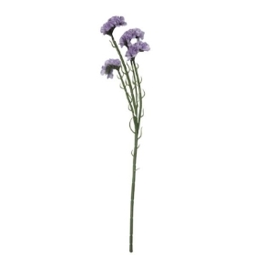 Lilac Statice 62cm