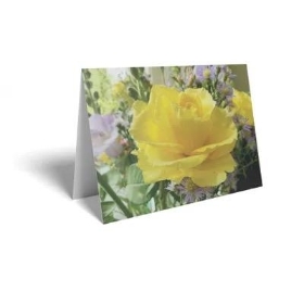 Yellow Rose Folding Card x25