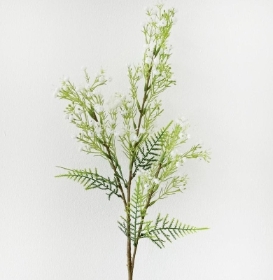 Gyp & Fern 70cm