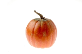 Small Orange Appalachian Pumpkin 19cm