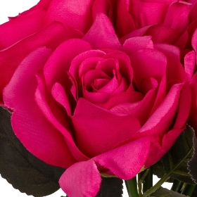 Dark Pink Eugenie Rose Bundle 30cm