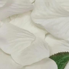 Ivory Rose Petals x 164